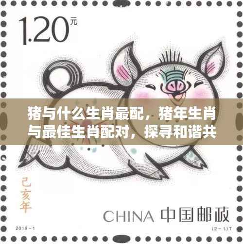 猪年生肖与最佳配对生肖,探寻和谐共生的奥秘之旅