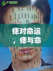 痣与命运,神秘连结的探究之旅