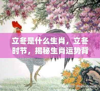 立冬生肖运势揭秘,探寻生肖寓意背后的秘密