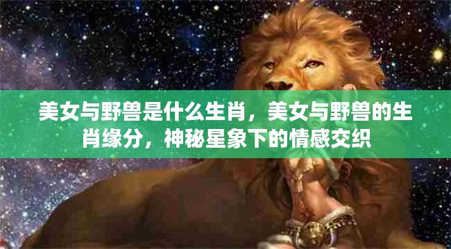 美女与野兽的生肖缘分,星象下的情感神秘交织