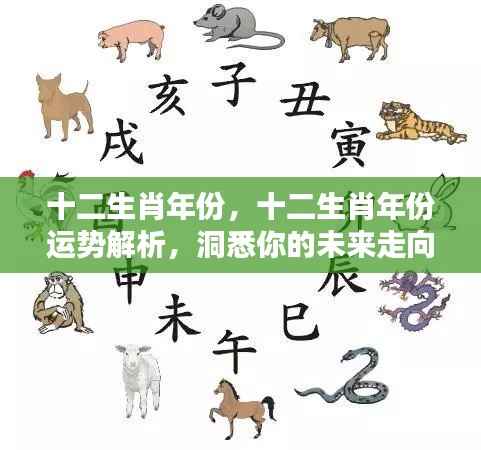十二生肖年份运势解析,洞悉未来走向