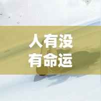 命运与人生的交织,命运之轮转动还是人生之舵掌控?