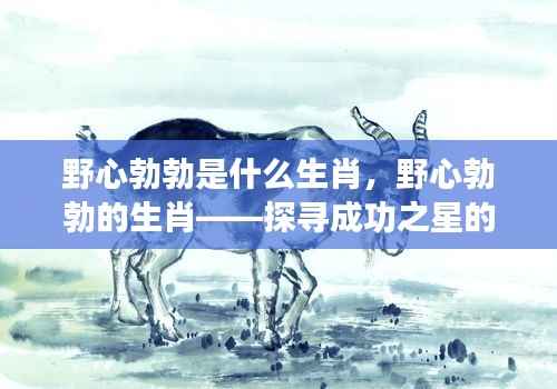野心勃勃的生肖探寻,成功之星引领力量揭秘