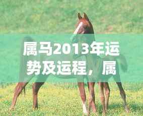 属马人2013年运势及运程概览