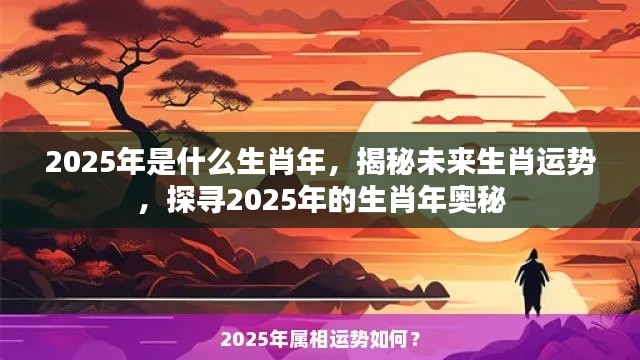 2025年生肖奥秘揭秘,未来运势探寻与生肖年展望