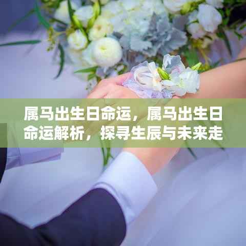 属马出生日的命运解析,探寻生辰奥秘与未来走向的关联