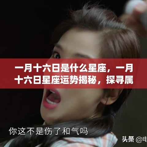 一月十六日星座运势揭秘,探寻属于你的星辰轨迹,掌握星座运势走向