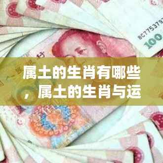 属土生肖运势展望,探寻生肖与运势的奥秘关联