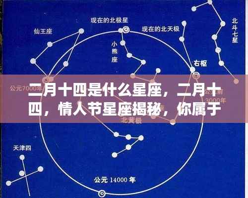 二月十四情人节星座揭秘,揭秘你的星座属性