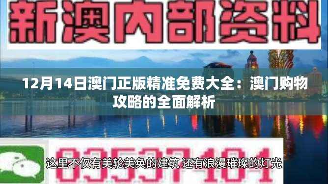 12月14日澳门正版精准免费大全:澳门购物攻略的全面解析