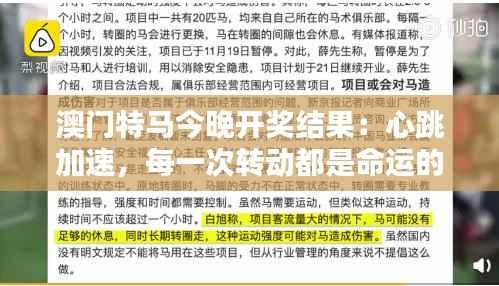 澳门特马今晚开奖结果:心跳加速,每一次转动都是命运的转弯