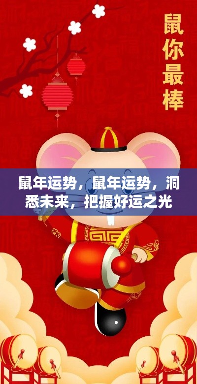 鼠年运势揭秘,洞悉未来,把握好运之光