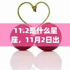 揭秘11月2日出生者的星座运势,星座解读与运势分析