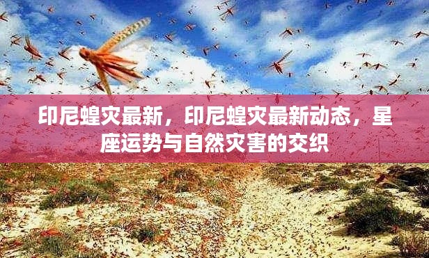 印尼蝗灾最新动态,星座运势与自然灾害的交织影响