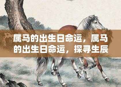 衣不完采 第4页