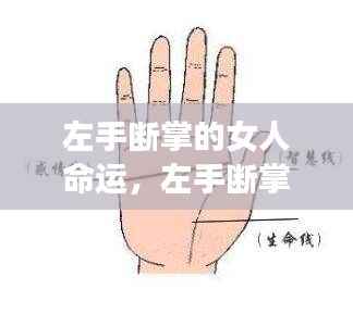 左手断掌女性的命运解读，手相与星象的交织分析