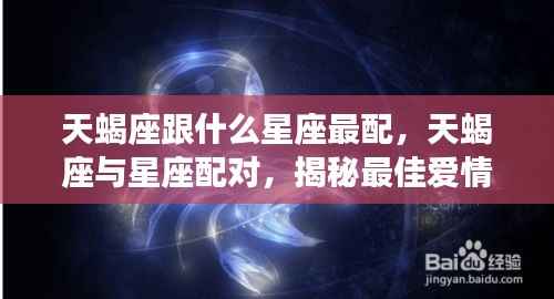 揭秘天蝎座的最佳星座配对,寻找爱情的最佳组合