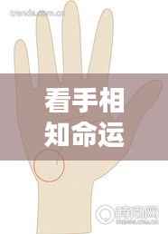 手相揭秘,命运纹路中的奥秘探索与奥秘探寻之路