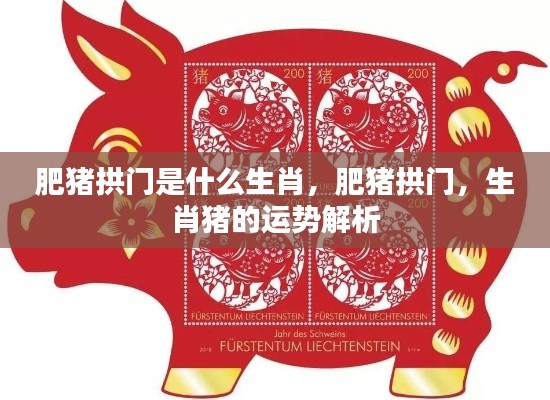 肥猪拱门生肖运势解析,猪的运势与生肖解读