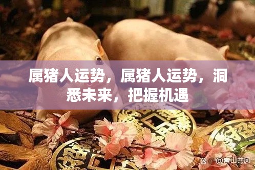 属猪人的未来运势,洞悉机遇,把握幸运之路