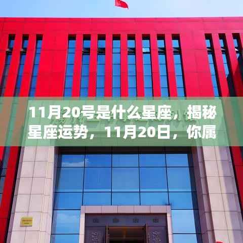 揭秘11月20日的星座运势与特点,属于你的星座运势解析