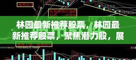 林园聚焦潜力股,最新推荐股票及股市前景展望