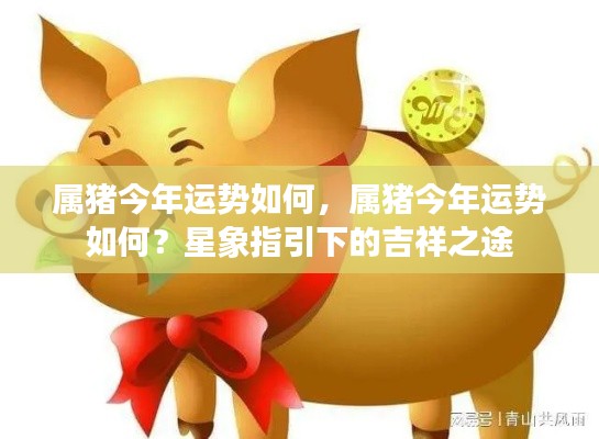 属猪今年运势展望,星象指引下的吉祥之路
