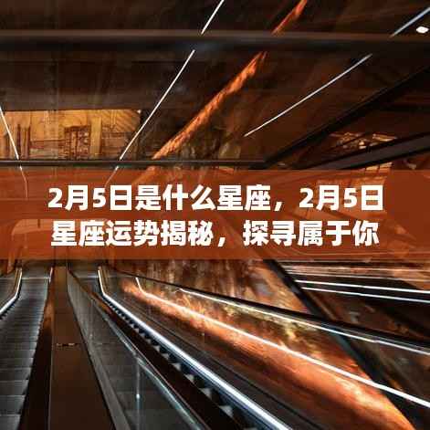 2月5日星座运势揭秘,探寻属于你的星辰轨迹与星座运势展望