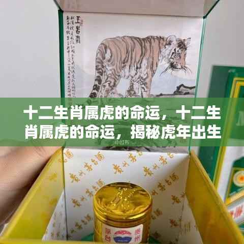 揭秘十二生肖属虎命运,辉煌篇章开启!