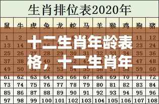 十二生肖年龄对照表,洞悉成长岁月与属相年龄分布