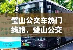 璧山公交车热门线路,星座运势交织的奇妙旅程