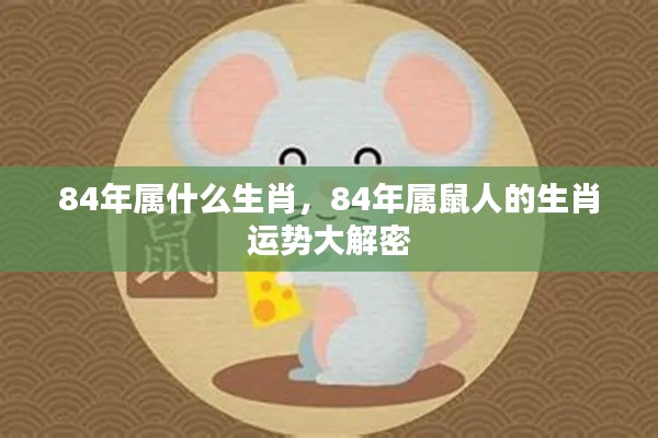 揭秘,1984年属鼠人的生肖运势全面解析