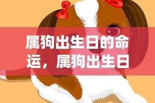 属狗出生日的命运详解,星象指引下的灿烂人生之旅