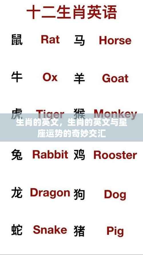生肖英文与星座运势的交汇奥秘