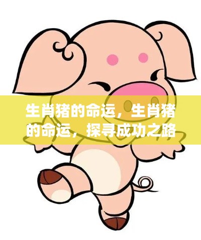 生肖猪的命运探索,机遇与挑战并存的成功之路