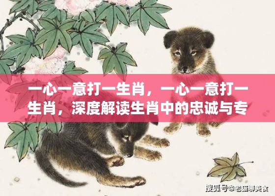 一心一意打一生肖,深度探索生肖忠诚与专注力的奥秘