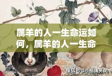 属羊人的命运解析,温文尔雅中的坚韧与机遇挑战