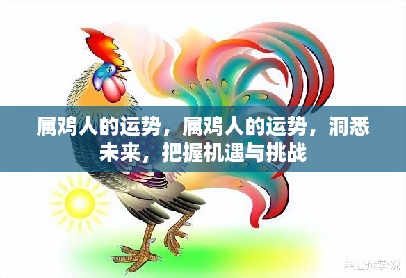 属鸡人的未来运势展望,洞悉机遇与挑战,把握命运之舵