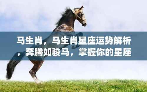 马生肖运势解析,掌握星座走向,奔腾如骏马的力量助你前行!