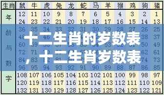 揭秘十二生肖岁数表,洞悉年龄与属相背后的奥秘关系解析