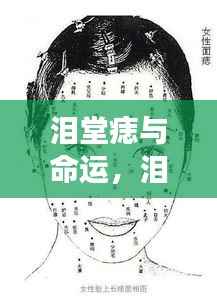 泪堂痣与命运,神秘面相解读命运密码的奥秘