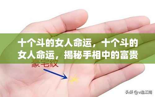 揭秘十个斗女人命运,手相中的富贵与人生轨迹探讨