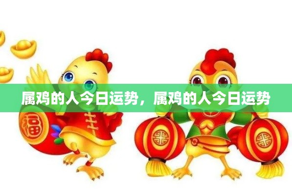 属鸡人士今日运势运势详解