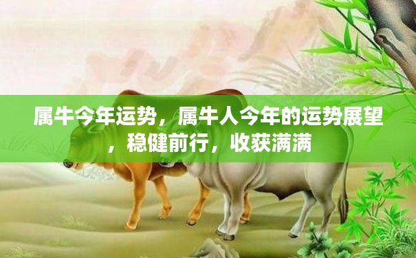 属牛人今年运势展望,稳健前行,收获颇丰