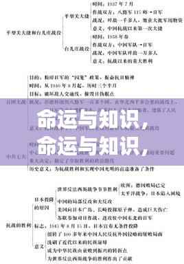 命运与知识,揭秘星座运势背后的深层逻辑探索