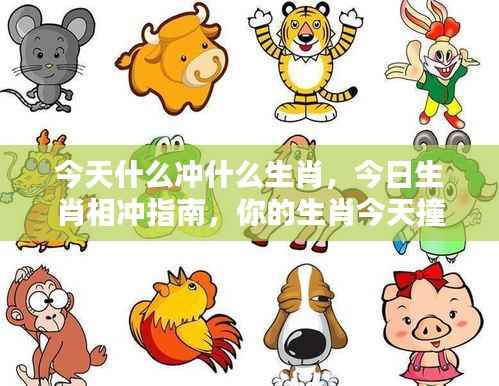今日生肖相冲指南,你的生肖与哪些相冲突?