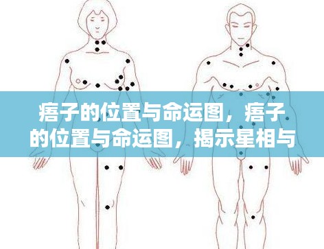 痦子位置与命运图,揭示星相与身体痣相的奥秘联系