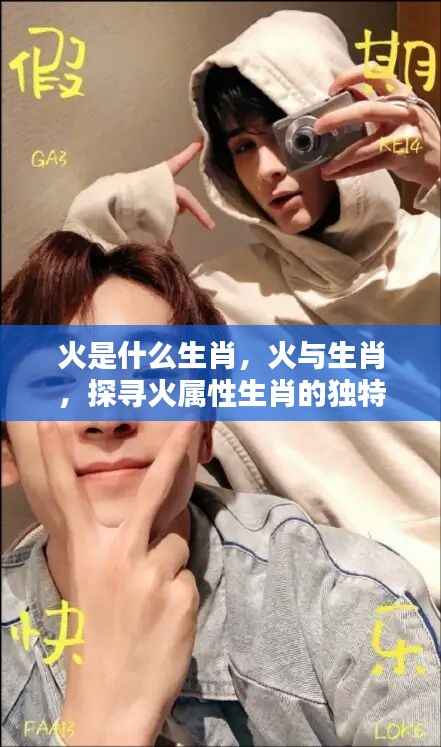 火属性生肖的独特魅力探寻,火与生肖的关联及解析