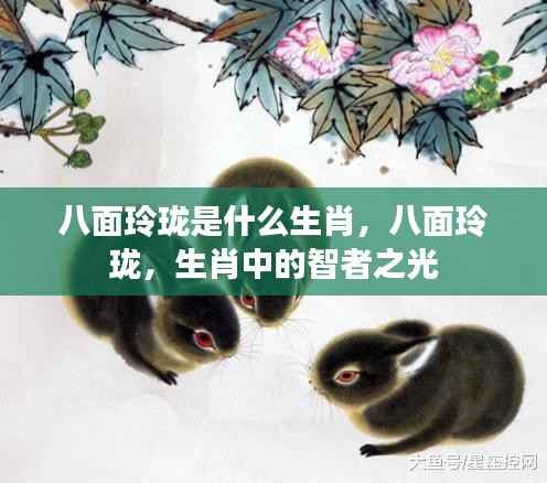 八面玲珑,生肖中的智者风采