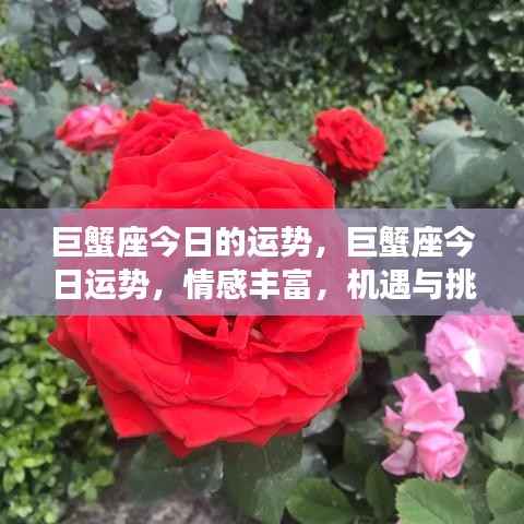 小鸟伊人 第3页